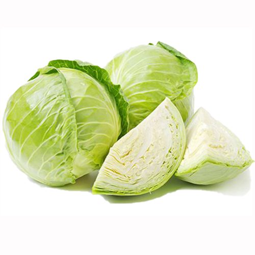 Cabbage / முட்டைக்கோஸ்