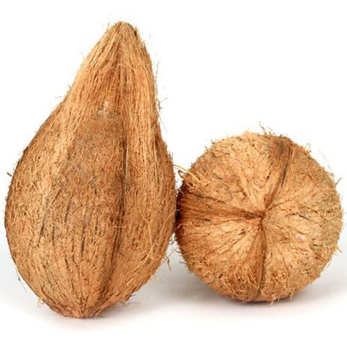Coconut / தேங்காய்  Large