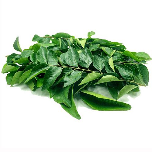 Curry Leaves / Karuveppilai / கருவேப்பிலை