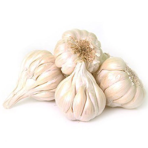 Garlic / வெள்ளப்பூடு
