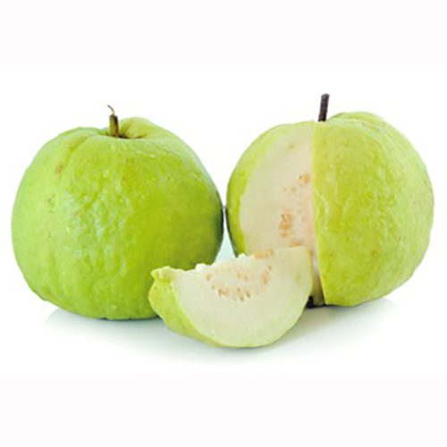Guava Fruit / கொய்யா பழம்