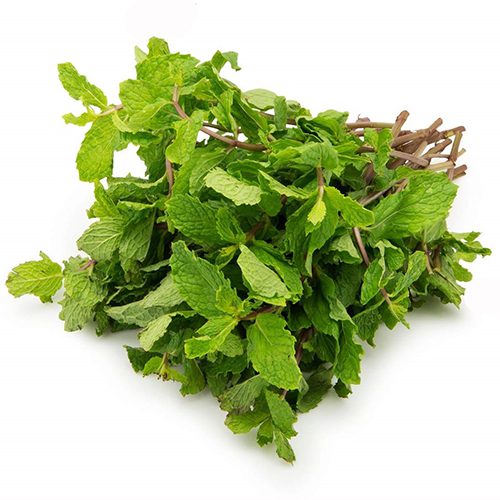 Mint Leaves / Puthinaa ilai / புதினா இலை