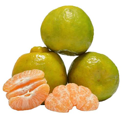 Orange Kamala / கமலா ஆரஞ்சு