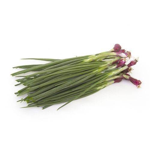 Spring Onion / வெங்காயத்தாள்