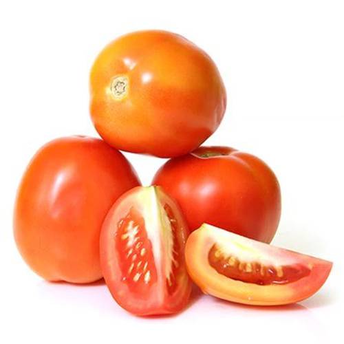 Tomato / தக்காளி