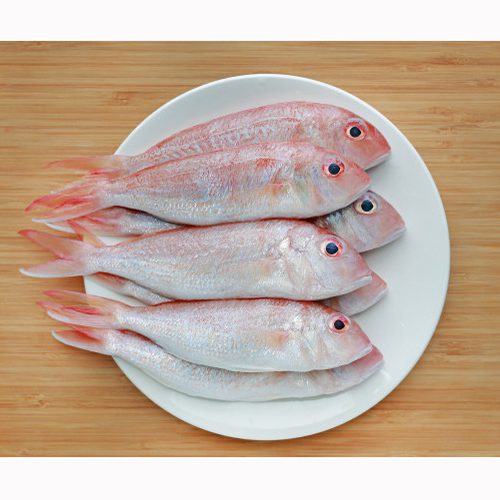 Fish Pink Perch / Red Snapper / Vela / Sankara / சங்கரா மீன்
